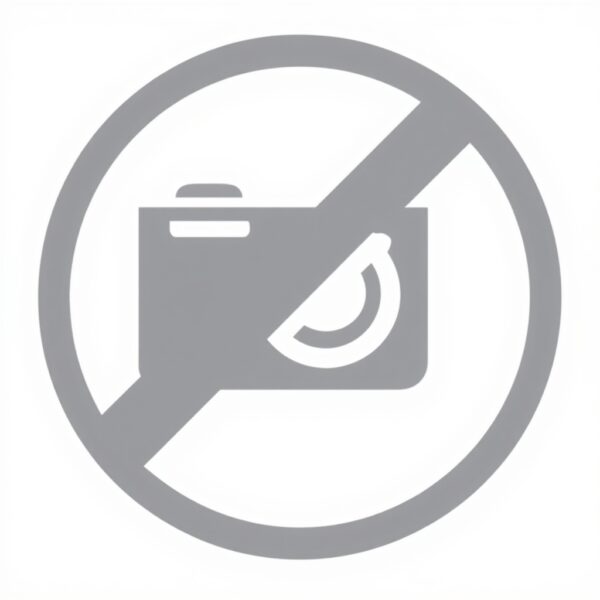 PAJ GPS Tracker veicoli OBD 4G 2.0 localizzazione in tempo